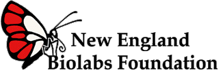 New Englamd Biolabs Foundation